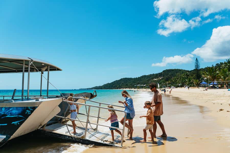 Moreton Island: Marine Discovery Cruise & Dolphin Feeding - Marine Discovery Cruise: What You’ll Scan for in Moreton Bay