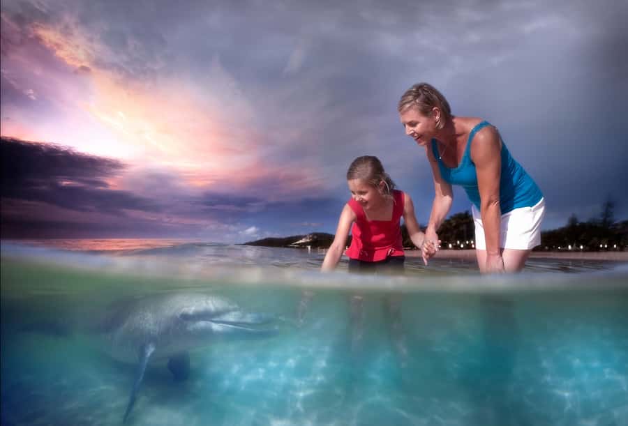 Moreton Island: Tangalooma ATV Quad Bike & Dolphin Feeding - Tangalooma Island Resort day pass: the best part for pacing