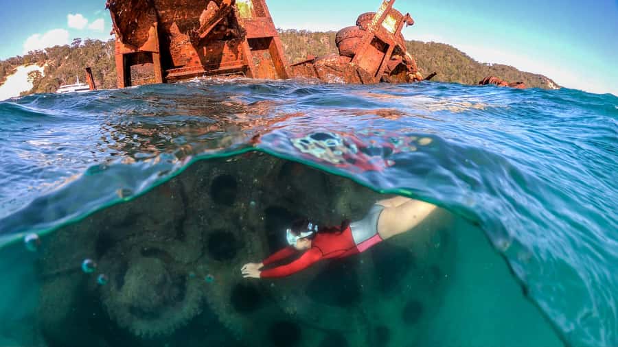Moreton Island: Tangalooma Snorkeling Tour & Dolphin Feeding - Getting There from Brisbane: Holt Street Wharf and a 75-Minute Cruise