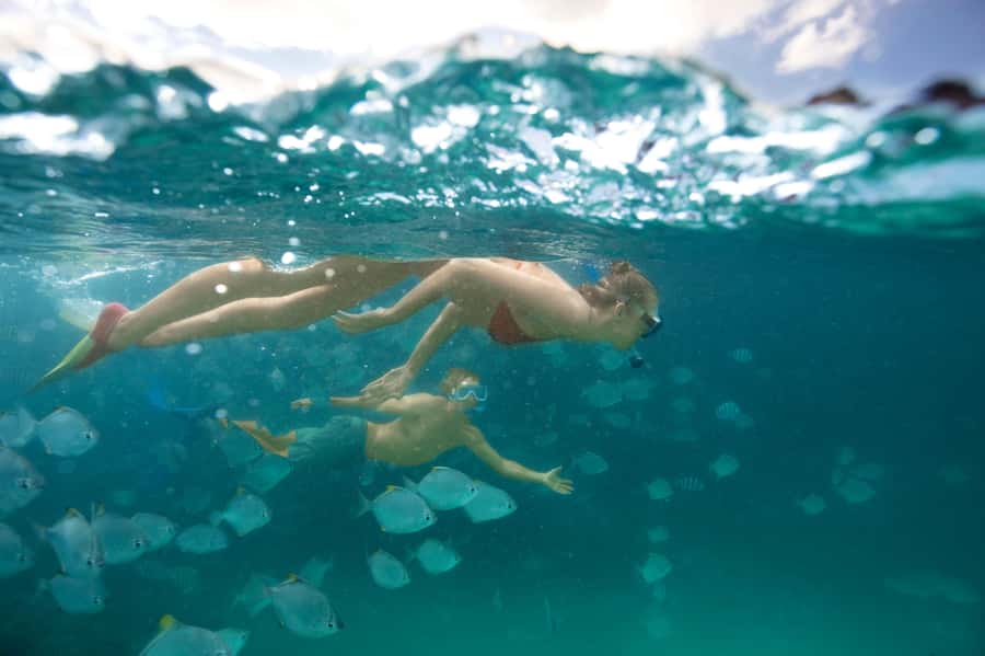 Moreton Island: Tangalooma Snorkelling with Dolphin Viewing - Quick Takeaways