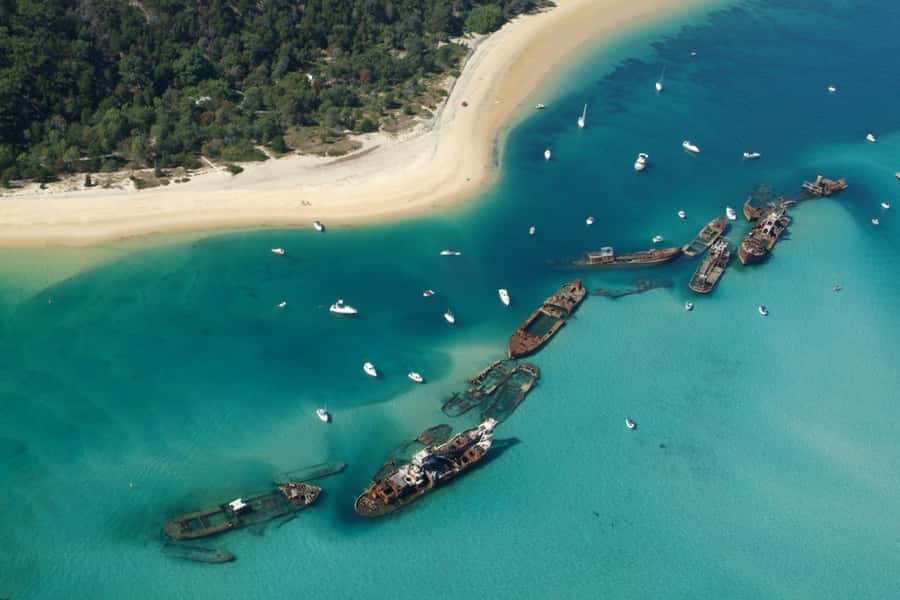 Moreton Island: Tangalooma Snorkelling with Dolphin Viewing - Practical tips that make the day easier