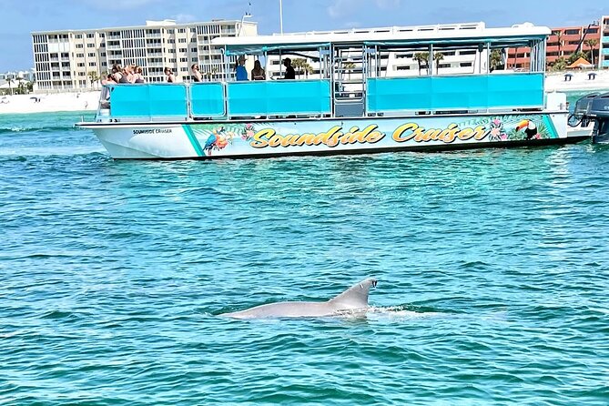 Morning Snorkel & Dolphin Adventure - Getting There: Fort Walton Beach Meeting Point Without the Headache