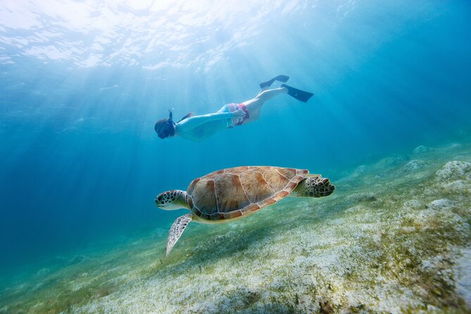 Morning Snorkel & Dolphin Adventure - Snorkeling Gear and the Realities of Gulf Water