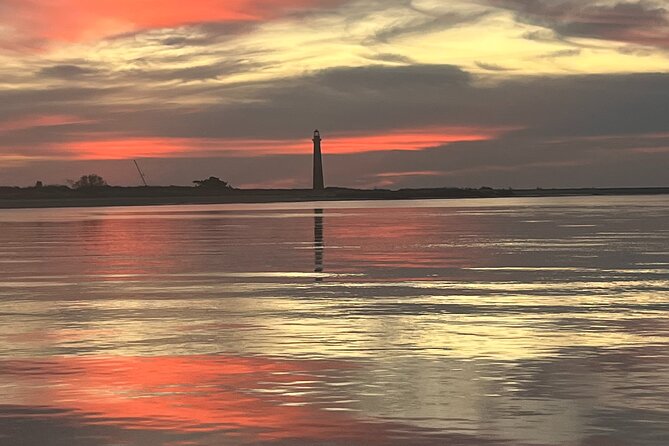 Morris Island Dolphin Cruise and Shelling Trip - Stop 1: Folly River Salt Marsh Wildlife Cruise