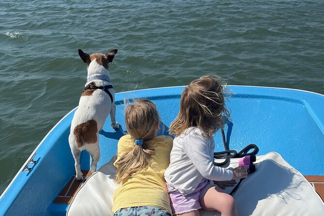 Morris Island Dolphin Cruise and Shelling Trip - Price and Value: When $295 Feels Reasonable