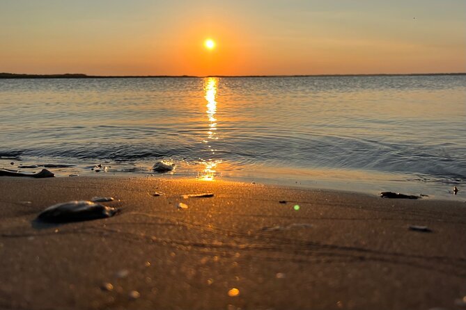 Morris Island Dolphin Cruise and Shelling Trip - What to Pack for a Smooth Shelling Day