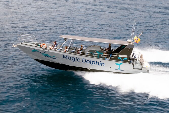 Morro Jable: 2 Hours Magic Dolphin & Whale watching with Drinks & Swim Stop. - Magic Dolphin: What This 2-Hour Ride Really Feels Like
