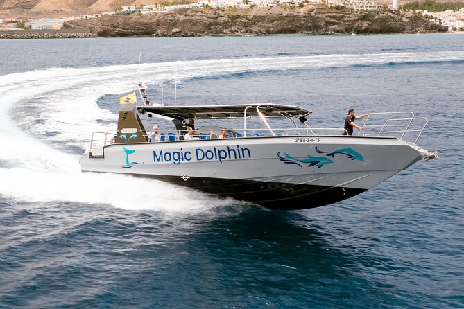 Morro Jable: 2 Hours Magic Dolphin & Whale watching with Drinks & Swim Stop. - Price and Value: Is $59.13 a Good Deal?