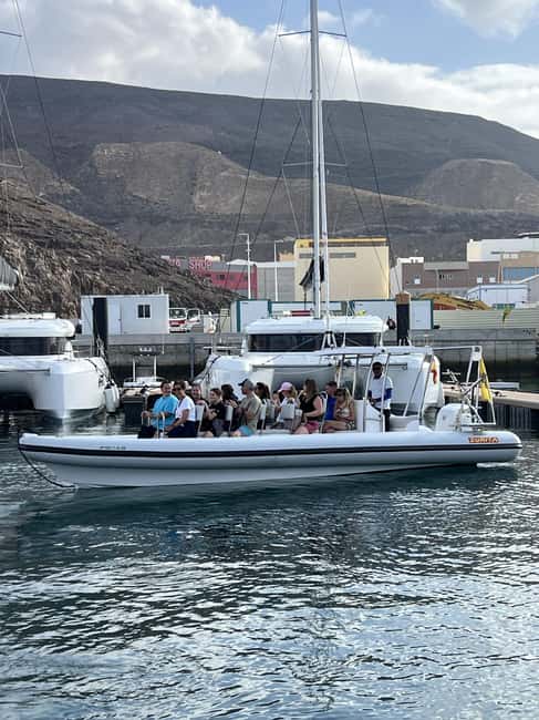 Morro Jable:Dolphin & Whale Watching Boat Tour & Snorkeling - Key highlights at a glance