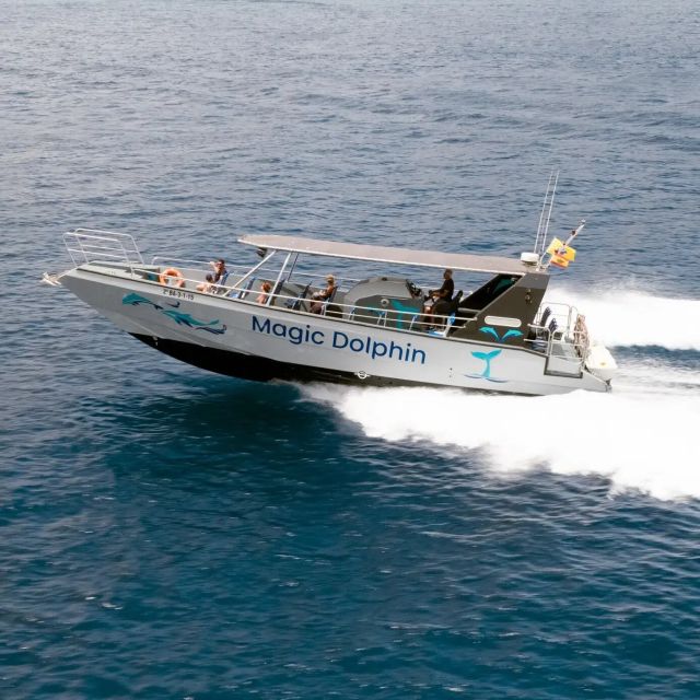 Morro Jable: Dolphin & Whale Watching Cruise, Drinks & Swim - Wildlife search that feels respectful, not chaotic