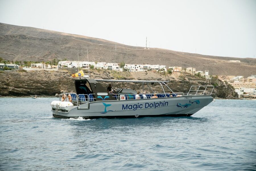 Morro Jable: Dolphin & Whale Watching Cruise, Drinks & Swim - Magic Dolphin boat: modern decks, quick motion, and easy spotting