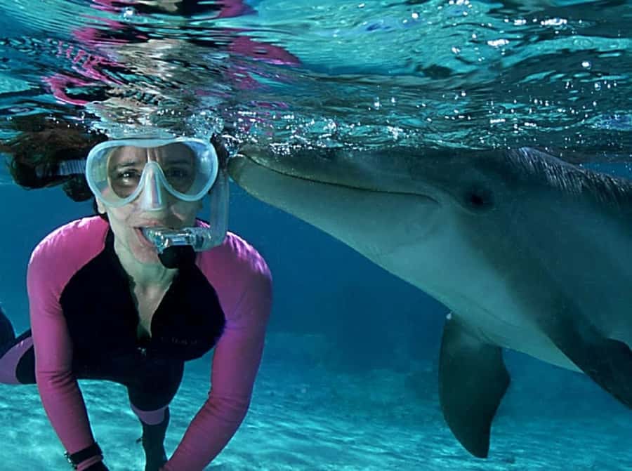 Muscat: 4-Hour Snorkeling Tour with Dolphin watching - Practical tips before you go (so the sea time feels easy)