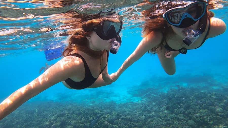 Muscat: Dolphin Watch & Snorkel Excursion - Transportation, Order of Operations, and How Not to Get Rushed