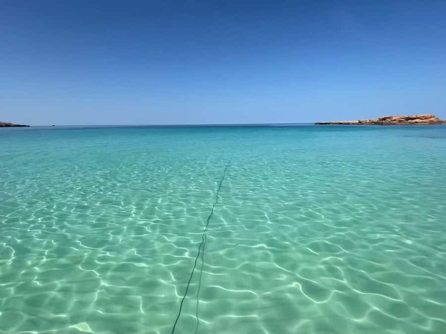 Muscat: Dolphin Watch & Snorkeling - Snorkeling at Oman’s Coast: Fish, Turtles, and Visibility That Changes