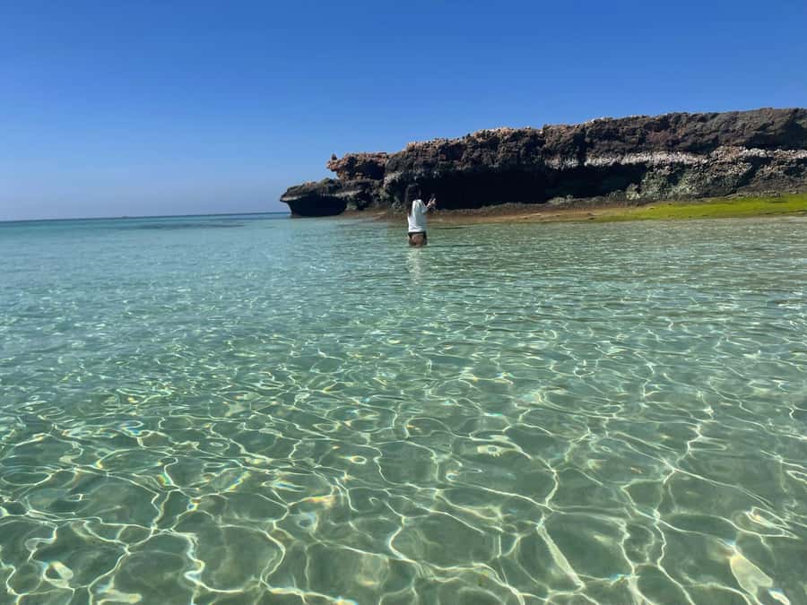 Muscat: Dolphin Watch & Snorkeling - Boat Time in the Gulf of Oman: Cruising, Stops, and Snacks in Between
