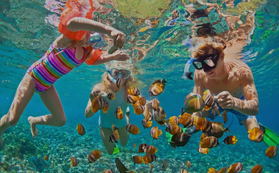 Muscat: Dolphin Watching and Snorkeling Tour - The Snorkeling Shift to Bandar Khiran Bay