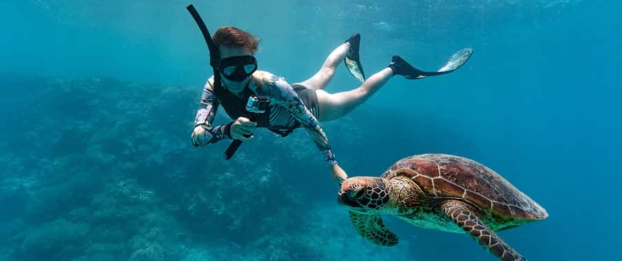 Muscat: Dolphin Watching and Snorkeling Tour - Price and Value: Is $90 Fair for What’s Included?