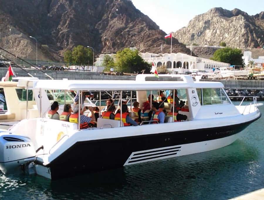 Muscat: Dolphin Watching and Snorkeling Tour - Dolphins: Watching vs. Swapping to Swimming