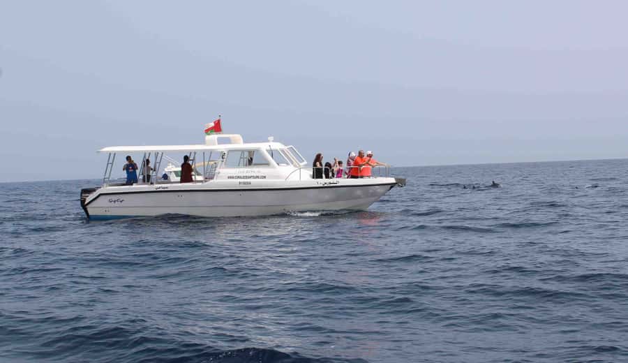 Muscat: Dolphin Watching and Snorkeling Tour By Speed Boat - Quick Hits Before You Go