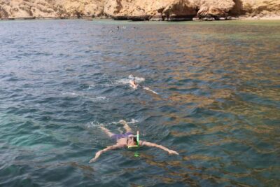 Muscat: Dolphin Watching and Snorkeling Tour By Speed Boat - Getting Oriented: Coral Ocean Tours at Marina Bandar Al Rowdha