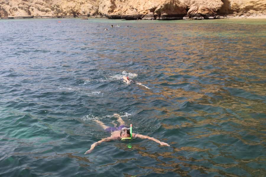 Muscat: Dolphin Watching and Snorkeling Tour By Speed Boat - Getting Oriented: Coral Ocean Tours at Marina Bandar Al Rowdha