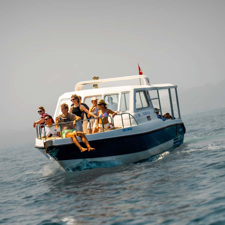 Muscat: Dolphin Watching and Snorkeling Trip - Key things to know before you go