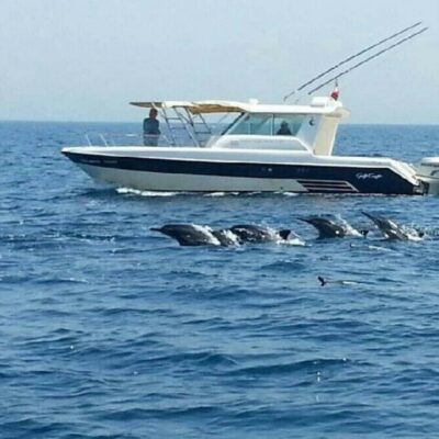 Muscat: Dolphin Watching and Snorkeling Trip - From Marina Bandar Al Rowdha: how to find your boat