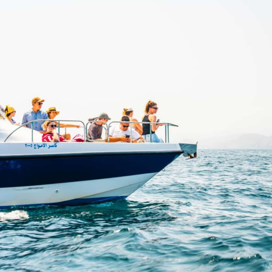 Muscat: Dolphin Watching and Snorkeling Trip - Who this tour is best for