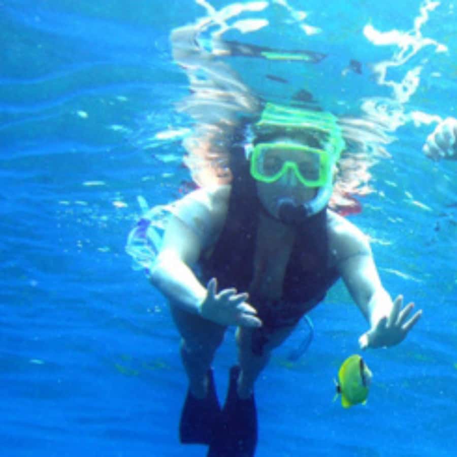 Muscat: Dolphin Watching and Snorkeling Trip - Should you book the Muscat dolphin watching and snorkeling trip?