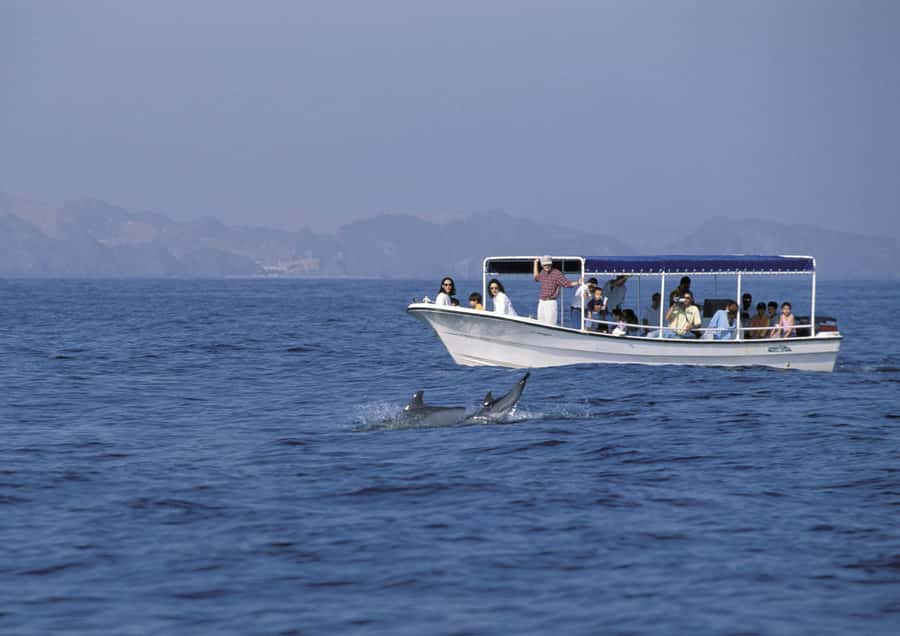 Muscat: Dolphin Watching Boat Amazing Trip - Onboard Comfort You’ll Actually Notice: Drinks, Snacks, Toilet, Life Jackets