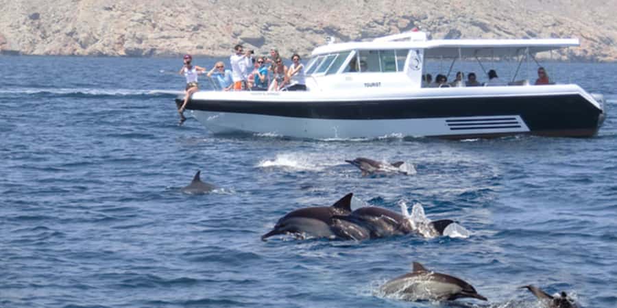 Muscat: Dolphin Watching Boat Tour - Marina Bandar Al Rowdha: Getting There and Getting Ready