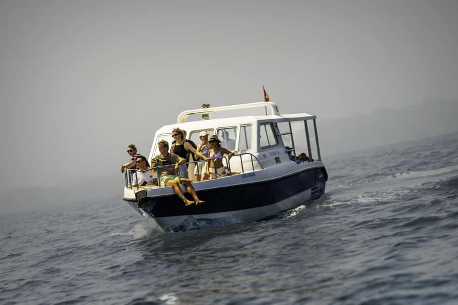 Muscat: Dolphin Watching Boat Trip with Snacks & Local Guide - Key points to know before you go