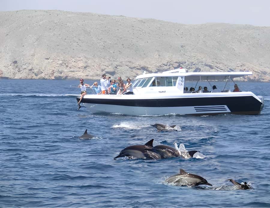 Muscat: Dolphin Watching Boat Trip with Snacks & Local Guide - Starting at Marina Bandar al Rowdha: the easy part of the day