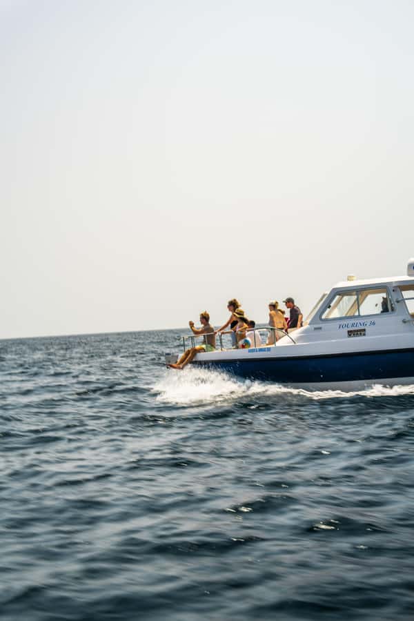 Muscat: Dolphin Watching Boat Trip with Snacks & Local Guide - What dolphin watching feels like on Muscat waters