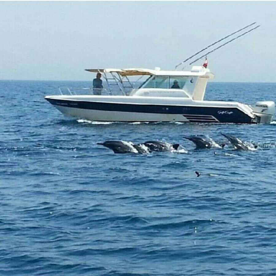 Muscat: Dolphin Watching Boat Trip with Snacks & Local Guide - Snacks, soft drinks, water, and life jackets: the comfort basics