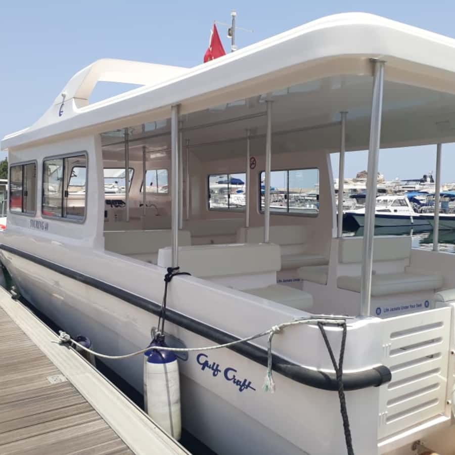Muscat: Dolphin Watching Boat Trip with Snacks & Local Guide - Boat ride pace and group vibe: what to expect in real terms