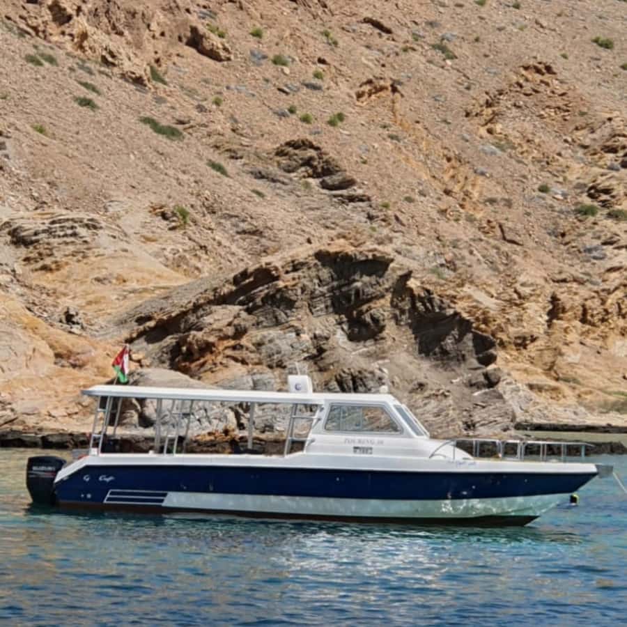 Muscat: Dolphin Watching Boat Trip with Snacks & Local Guide - Price and value: is $60 per person fair for this Muscat day?