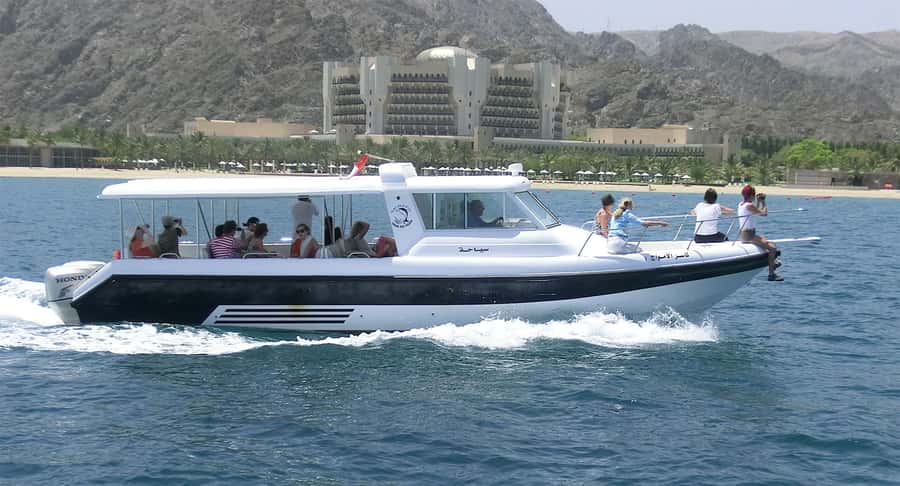 Muscat Dolphin Watching & Coastal Sightseeing Tour - Price and Value: What $35 Buys You in Muscat