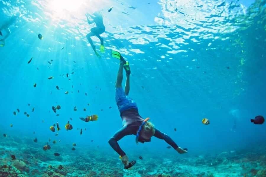 Muscat: Snorkeling and Dolphin Watching Tour - FAQ