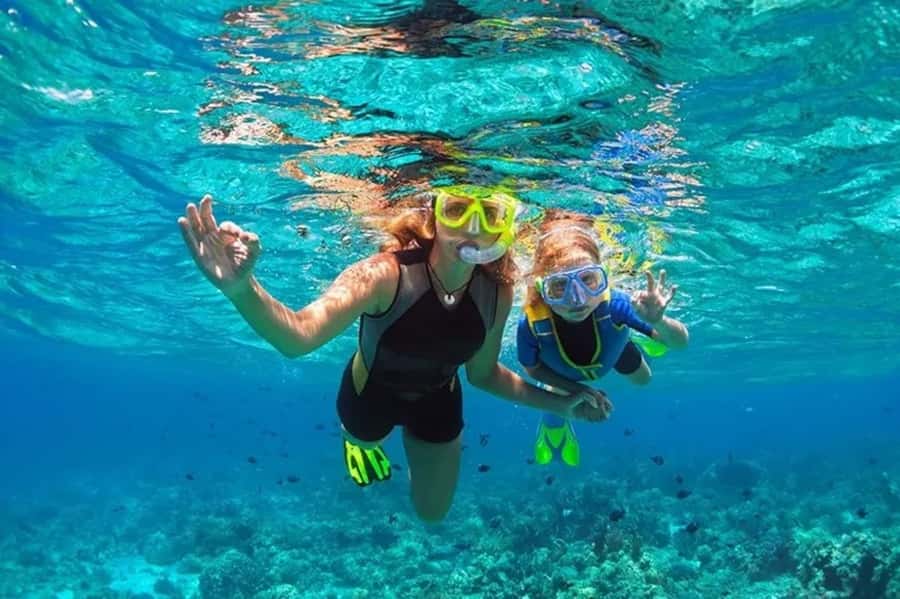 Muscat: Snorkeling and Dolphin Watching Tour - Muscat’s waters: why this area is built for snorkeling