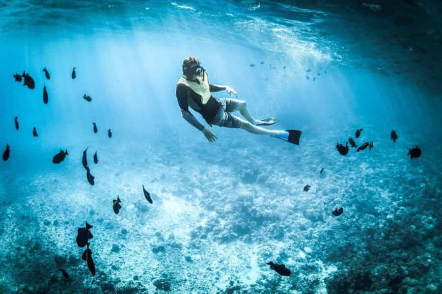 Muscat: Snorkeling and Dolphin Watching Tour - Boat cruise and dolphin watching: what you should expect on the water