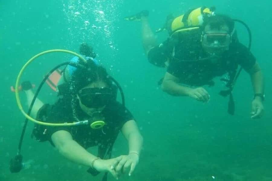 Muscat: Snorkeling and Dolphin Watching Tour - Snorkeling time: gear you get, and the marine life you’ll be looking for