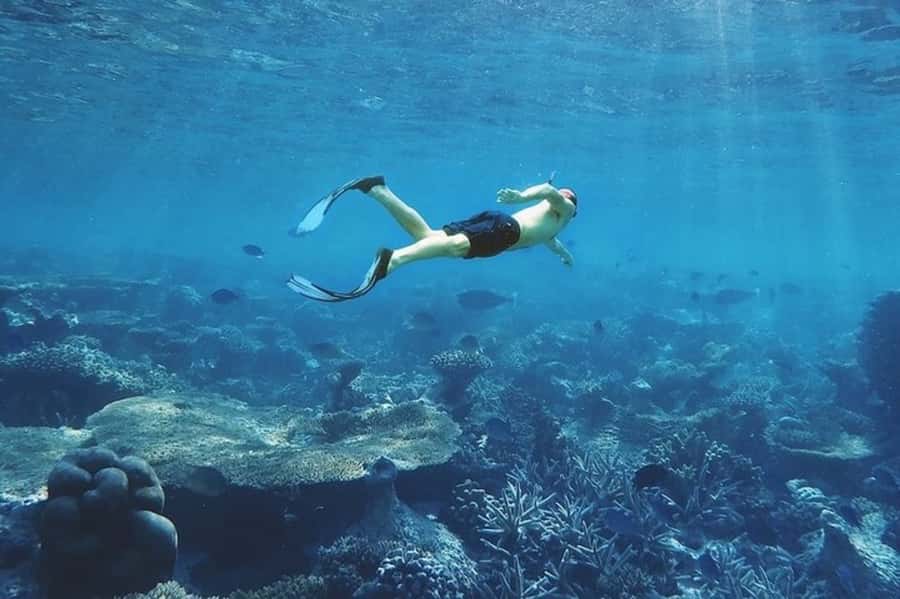 Muscat: Snorkeling and Dolphin Watching Tour - Timing and pacing: how 3 hours plays out in real life
