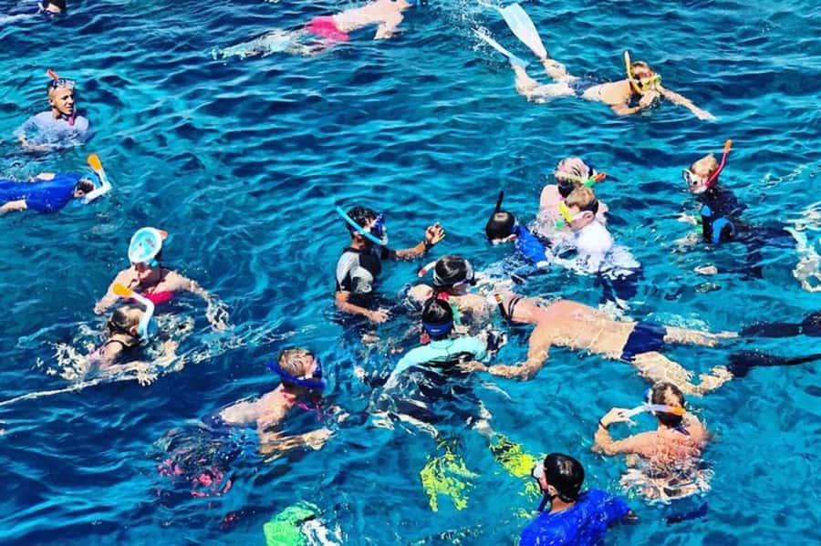 Muscat: Snorkeling and Dolphin Watching Tour - Who this tour fits best in Muscat—and who should skip it