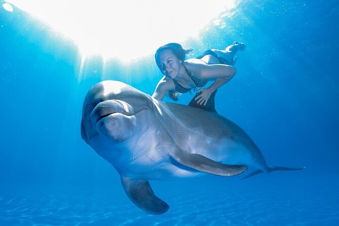 Must-DO The only and Unique Natural Space Dolphin Encounter Cabo - What you’ll actually do during the 1-hour dolphin encounter