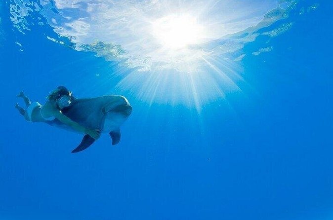Must-DO The only and Unique Natural Space Dolphin Encounter Cabo - Weather and timing: the hidden factor you should not ignore