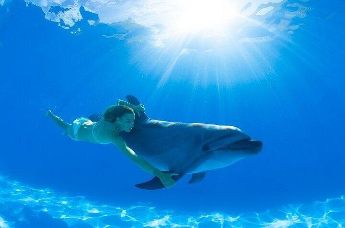 Must-DO The only and Unique Natural Space Dolphin Encounter Cabo - Who this dolphin encounter is best for (and who might want another option)