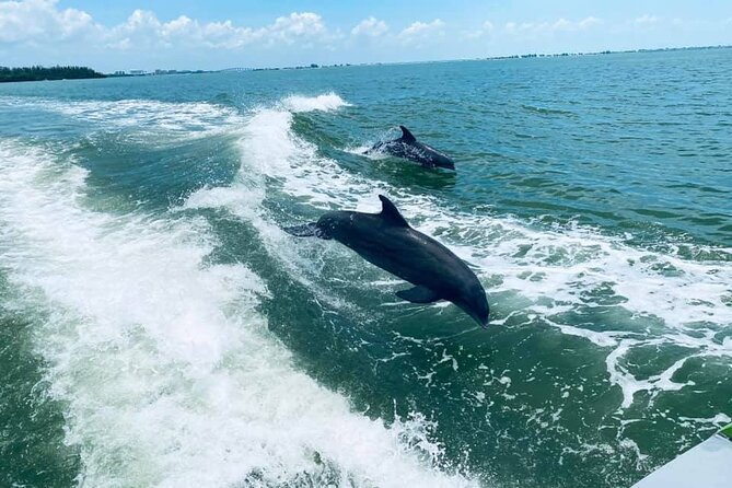 Myrtle Beach Dolphin Cruise - Key Points I’d Plan Around