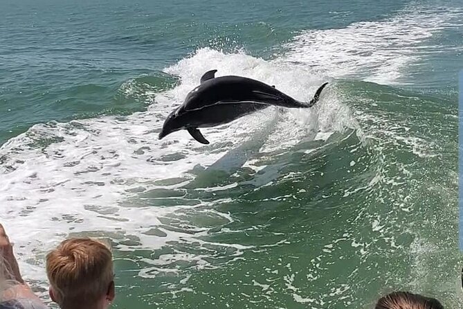 Myrtle Beach Dolphin Cruise - Bird Island and the Barrier-Island Story You Can Actually Understand