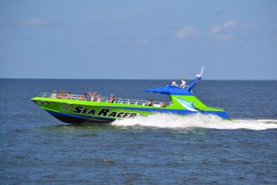 Myrtle Beach Dolphin Cruise - Chasing Dolphins Near the Atlantic: What Close-Up Really Looks Like
